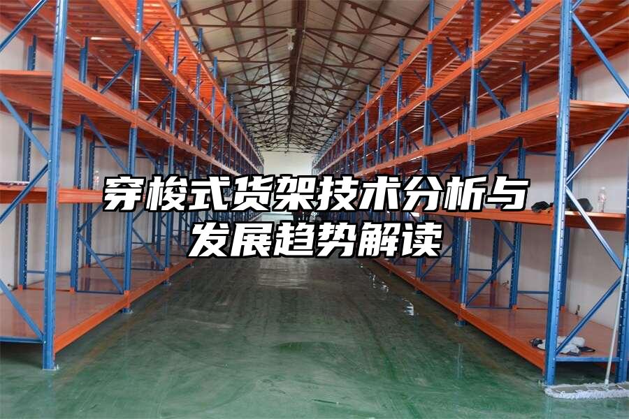 穿梭式貨架技術分析與發展趨勢解讀