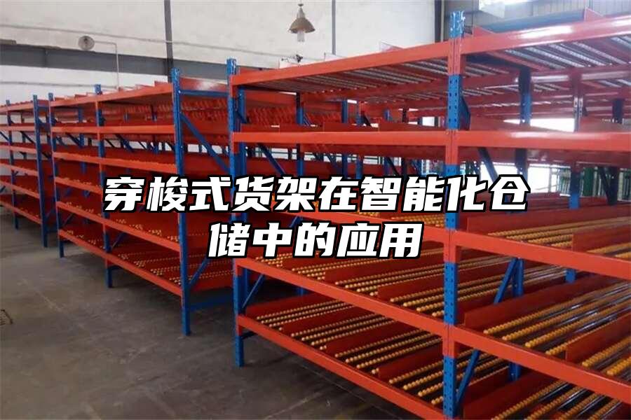 穿梭式貨架在智能化倉儲中的應用