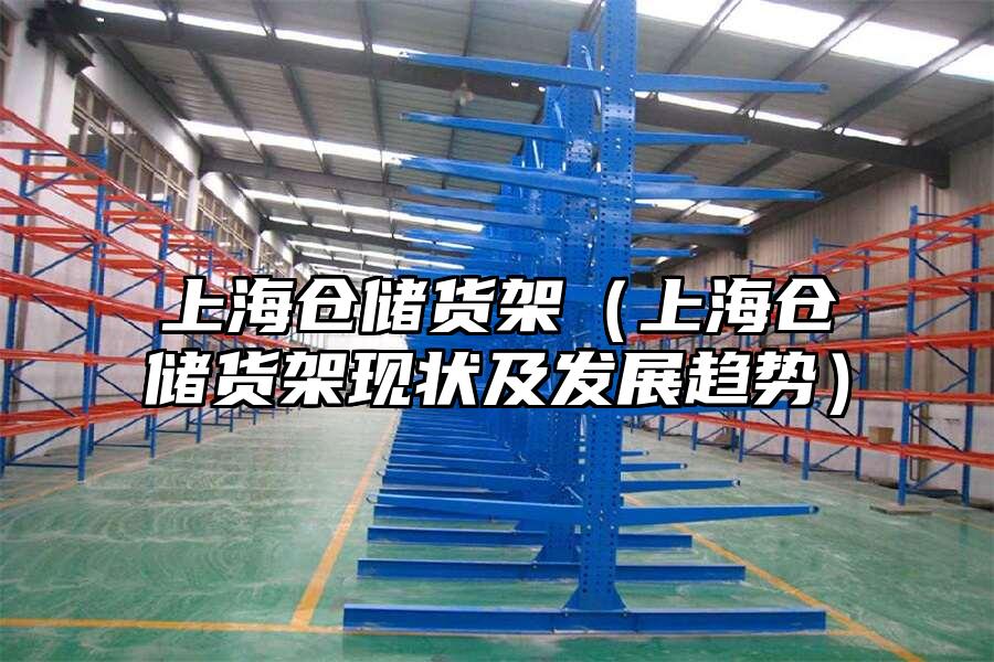 上海倉儲貨架（上海倉儲貨架現(xiàn)狀及發(fā)展趨勢）
