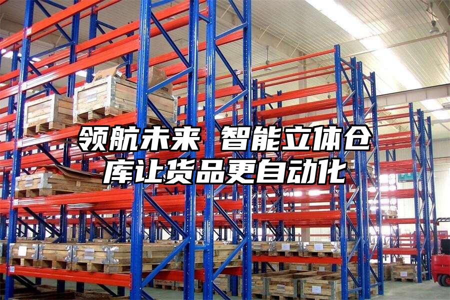 領航未來 智能立體倉庫讓貨品更自動化