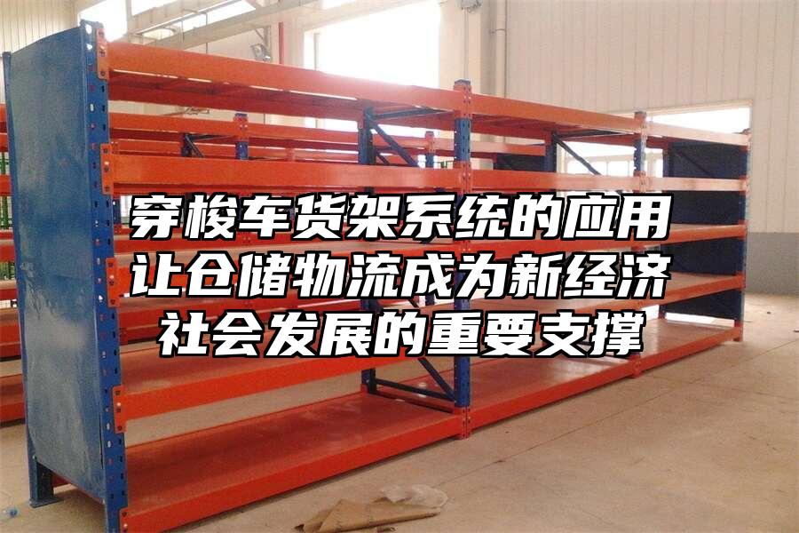 穿梭車貨架系統的應用讓倉儲物流成為新經濟社會發展的重要支撐