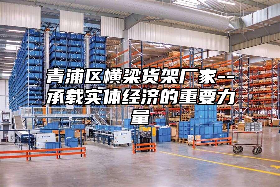 青浦區(qū)橫梁貨架廠家--承載實體經(jīng)濟的重要力量