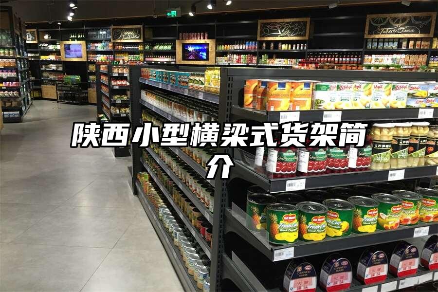 陜西小型橫梁式貨架簡介