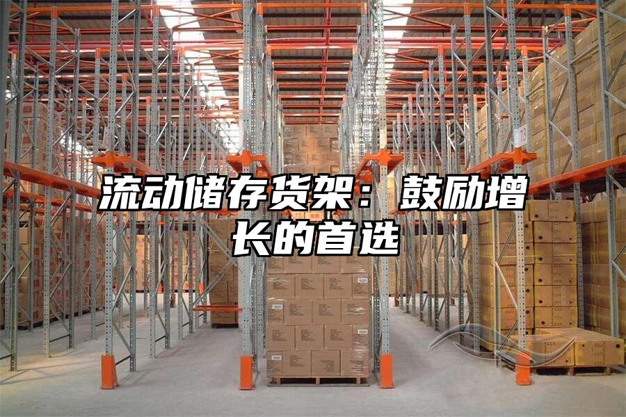 流動儲存貨架：鼓勵增長的首選