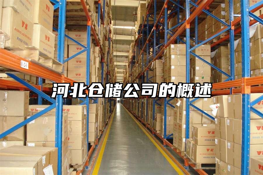 河北倉儲公司的概述