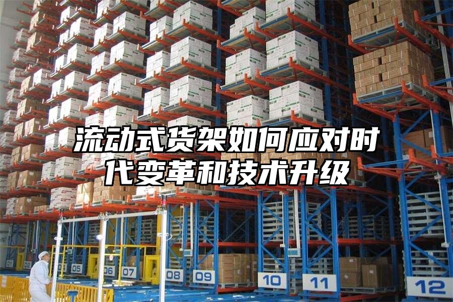 流動式貨架如何應對時代變革和技術升級