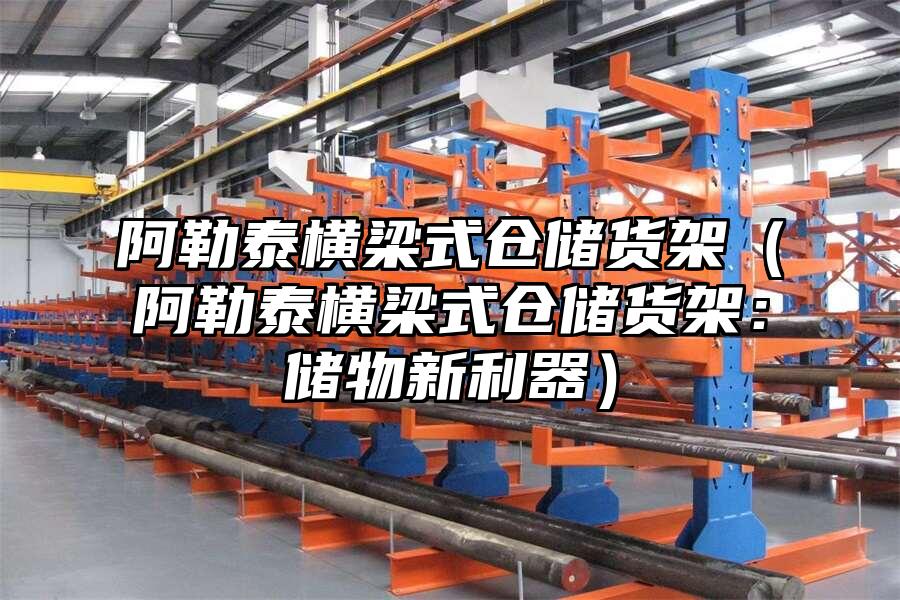 阿勒泰橫梁式倉儲貨架（阿勒泰橫梁式倉儲貨架：儲物新利器）