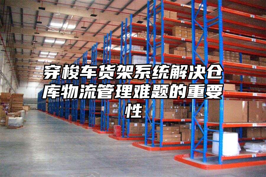 穿梭車貨架系統解決倉庫物流管理難題的重要性