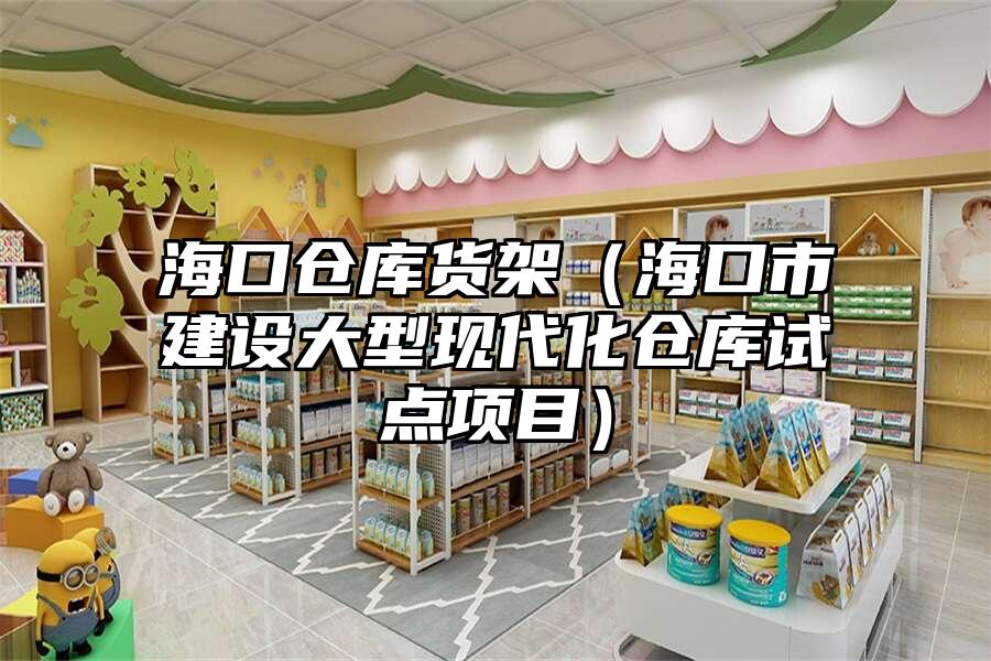 海口倉庫貨架（海口市建設大型現代化倉庫試點項目）