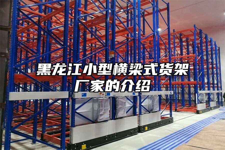 黑龍江小型橫梁式貨架廠家的介紹