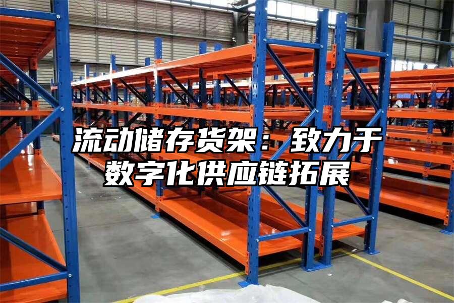 流動儲存貨架：致力于數字化供應鏈拓展