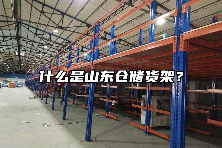 什么是山東倉儲貨架？
