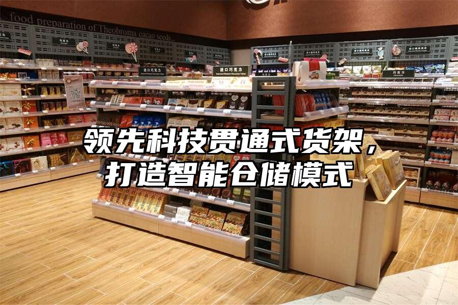 領(lǐng)先科技貫通式貨架，打造智能倉儲模式