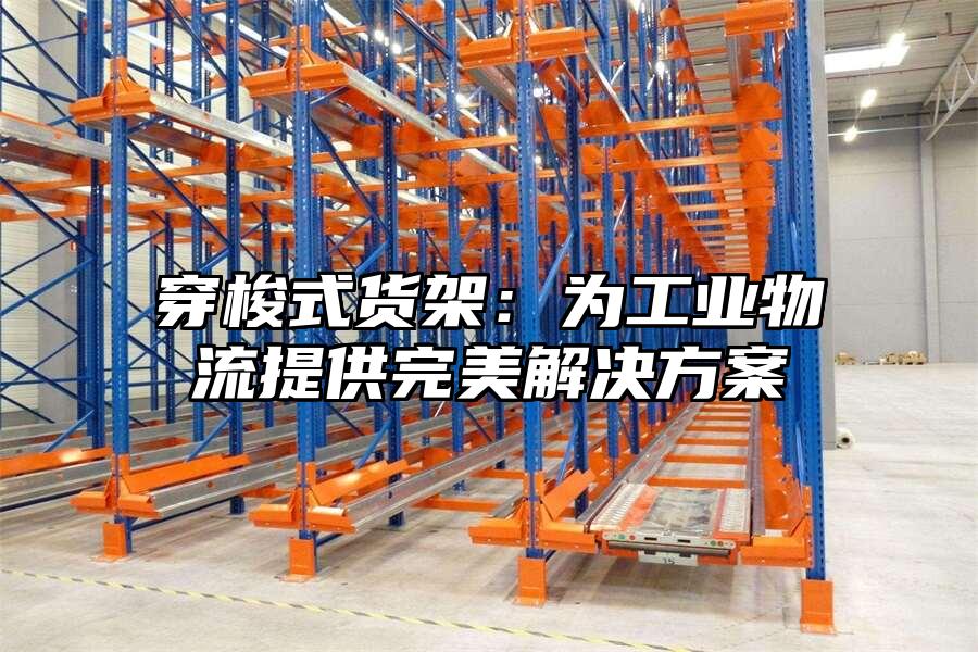 穿梭式貨架：為工業物流提供完美解決方案
