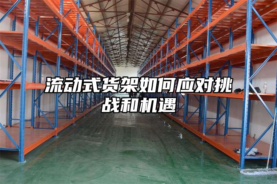 流動式貨架如何應對挑戰(zhàn)和機遇