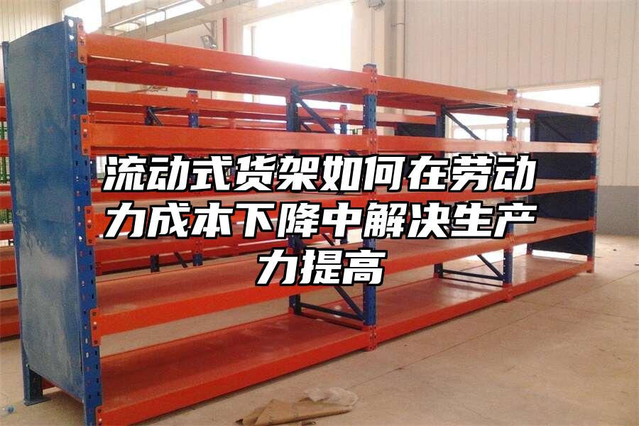 流動式貨架如何在勞動力成本下降中解決生產力提高