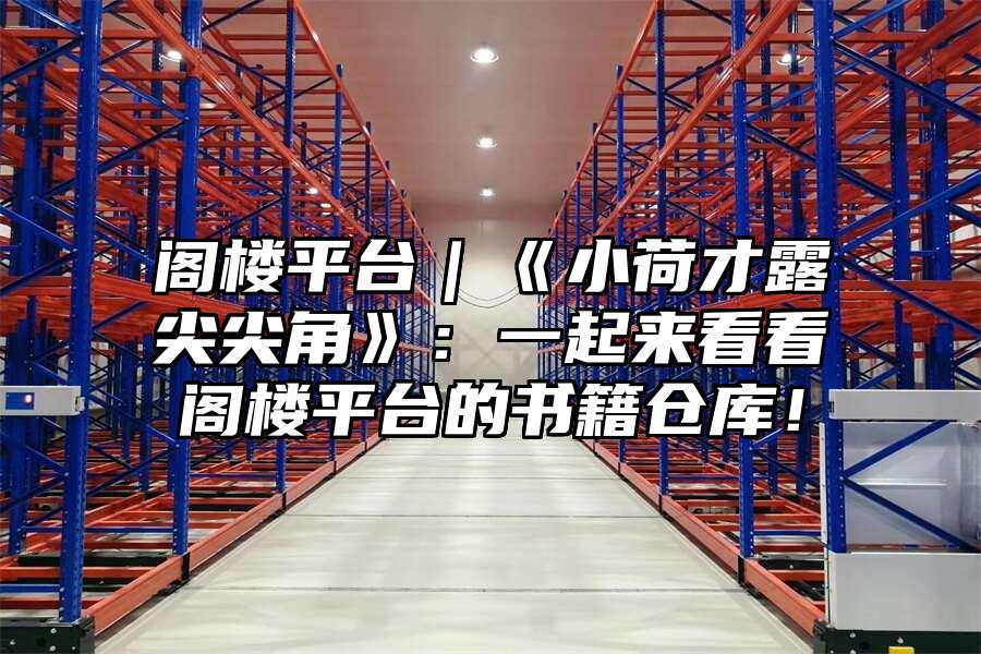 閣樓平臺｜《小荷才露尖尖角》：一起來看看閣樓平臺的書籍倉庫！