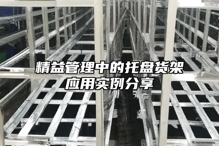 精益管理中的托盤貨架應(yīng)用實(shí)例分享
