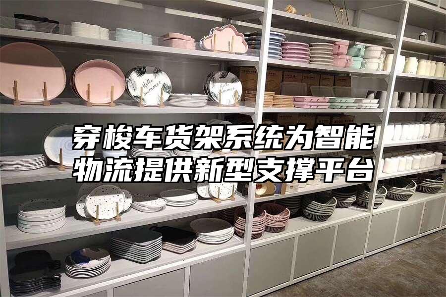 穿梭車貨架系統為智能物流提供新型支撐平臺