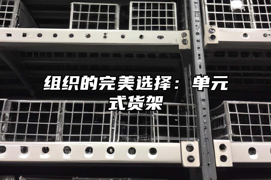 組織的完美選擇：單元式貨架