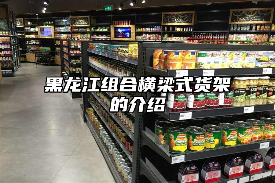 黑龍江組合橫梁式貨架的介紹