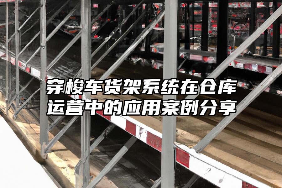 穿梭車貨架系統(tǒng)在倉庫運營中的應(yīng)用案例分享