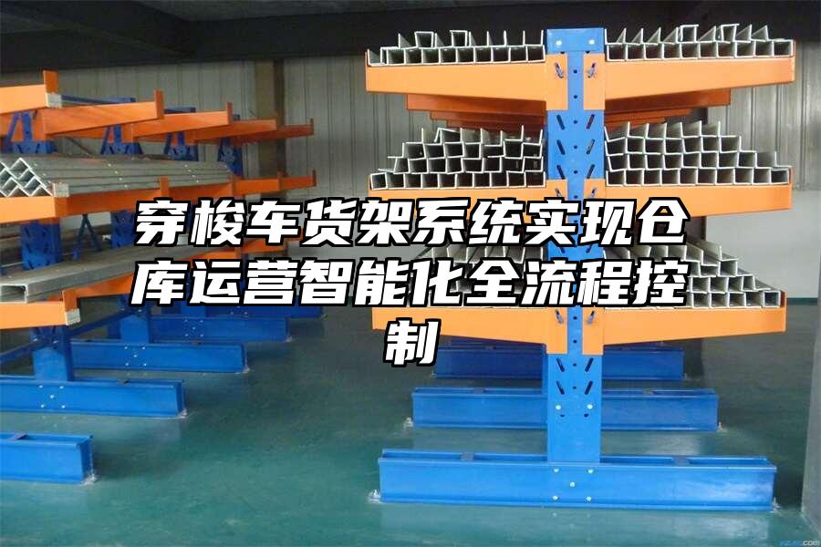 穿梭車貨架系統實現倉庫運營智能化全流程控制