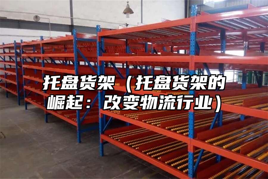托盤貨架（托盤貨架的崛起：改變物流行業(yè)）
