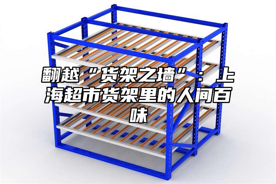 翻越“貨架之墻”：上海超市貨架里的人間百味