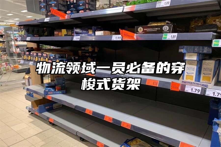 物流領域一員必備的穿梭式貨架