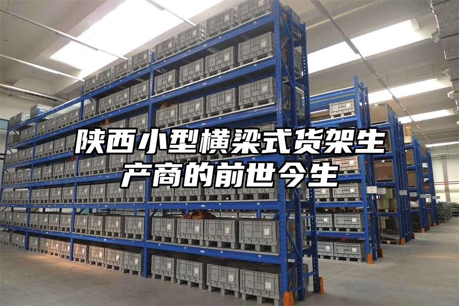 陜西小型橫梁式貨架生產商的前世今生