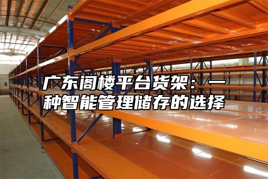 廣東閣樓平臺(tái)貨架：一種智能管理儲(chǔ)存的選擇