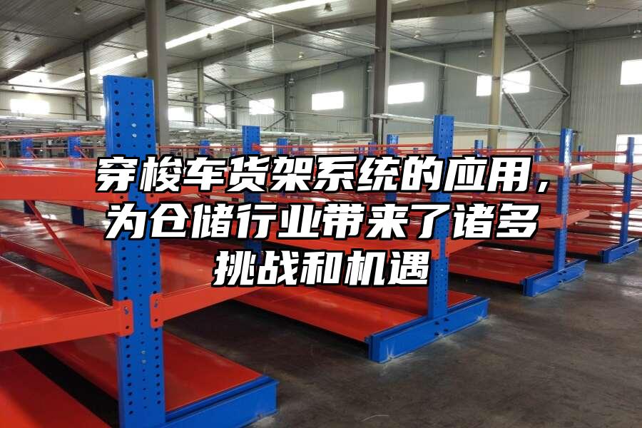 穿梭車貨架系統的應用，為倉儲行業帶來了諸多挑戰和機遇