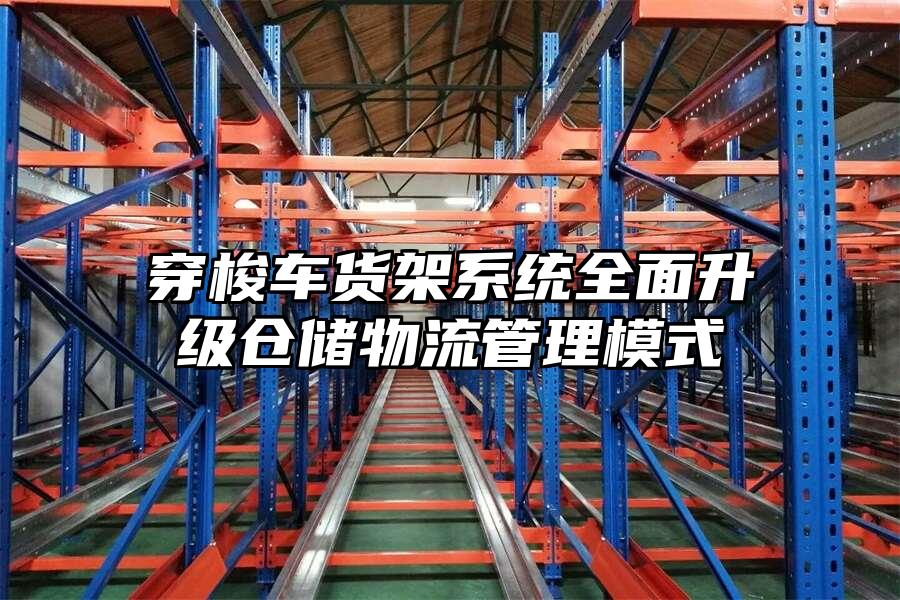 穿梭車貨架系統全面升級倉儲物流管理模式