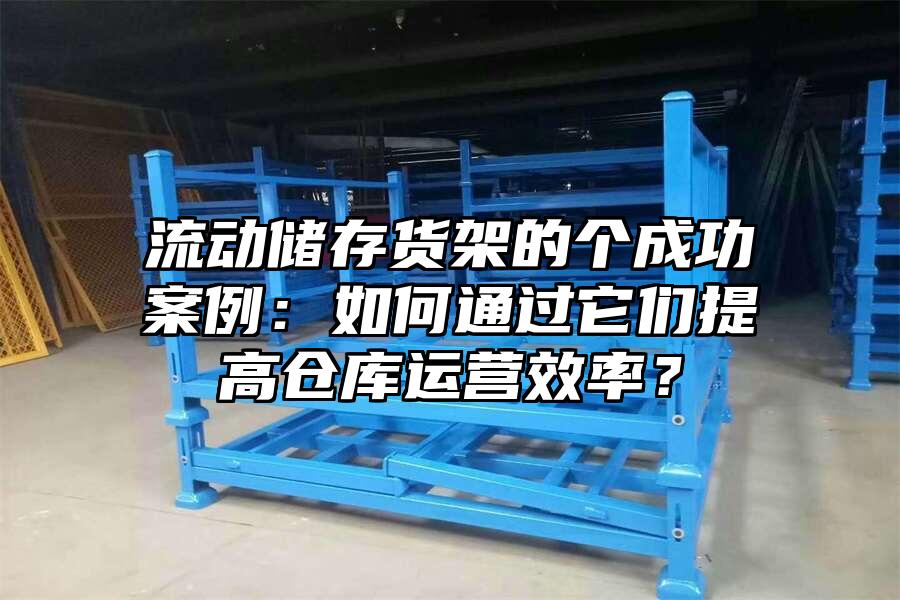 流動儲存貨架的個成功案例：如何通過它們提高倉庫運營效率？