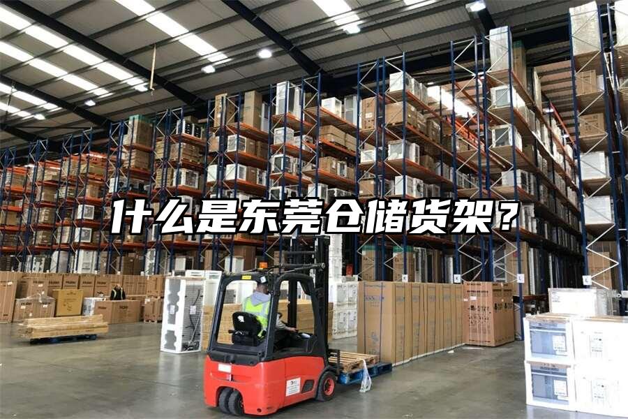 什么是東莞倉儲貨架？