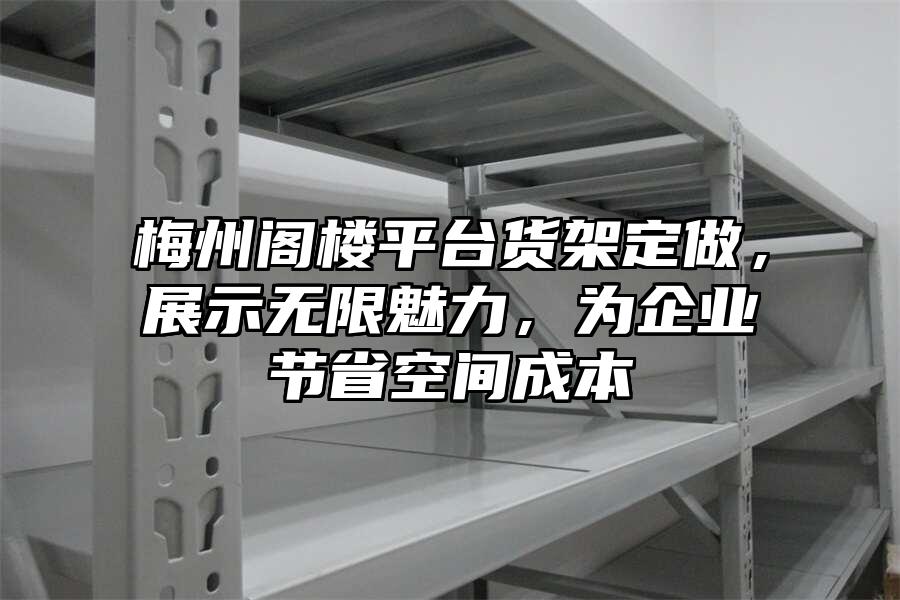 梅州閣樓平臺貨架定做，展示無限魅力，為企業節省空間成本