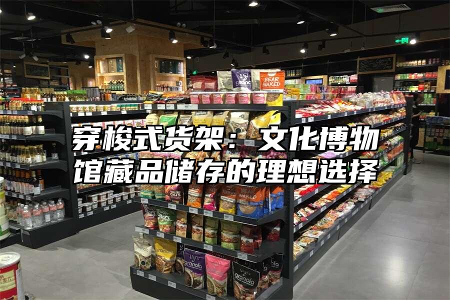穿梭式貨架：文化博物館藏品儲存的理想選擇
