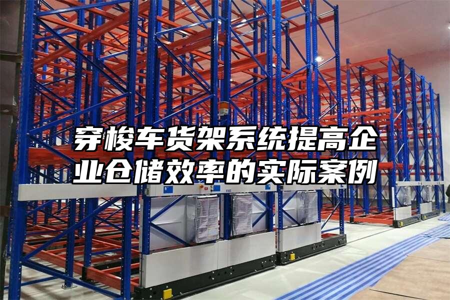 穿梭車貨架系統提高企業倉儲效率的實際案例
