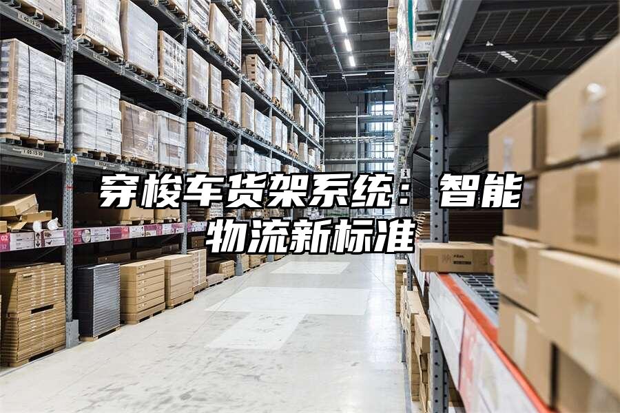 穿梭車貨架系統：智能物流新標準