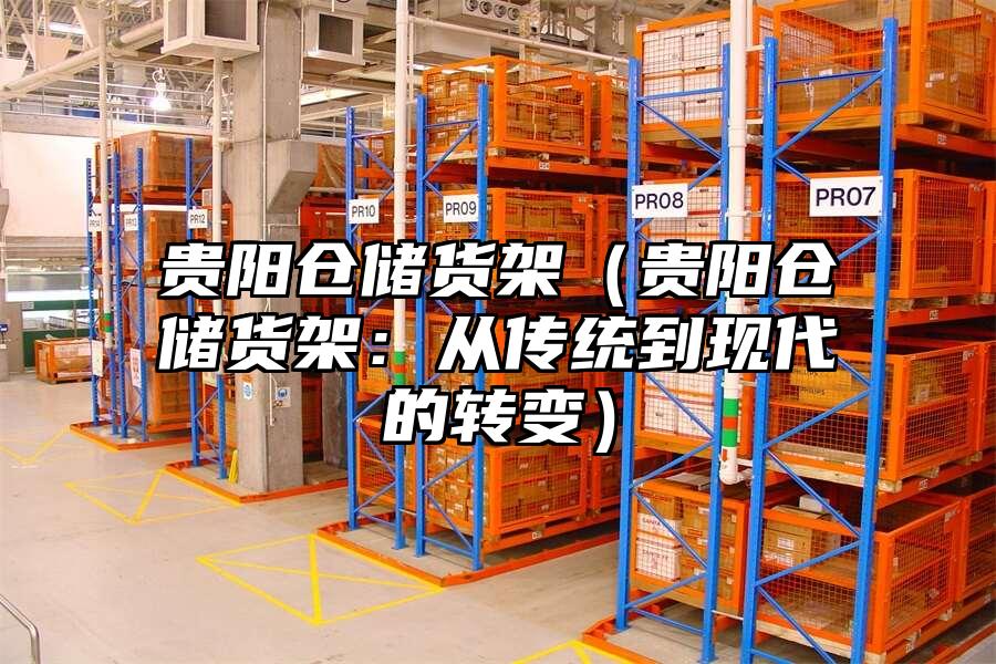 貴陽倉儲貨架（貴陽倉儲貨架：從傳統(tǒng)到現(xiàn)代的轉(zhuǎn)變）