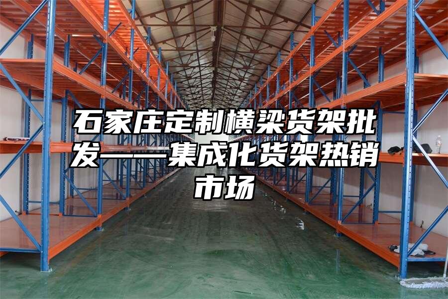 石家莊定制橫梁貨架批發——集成化貨架熱銷市場