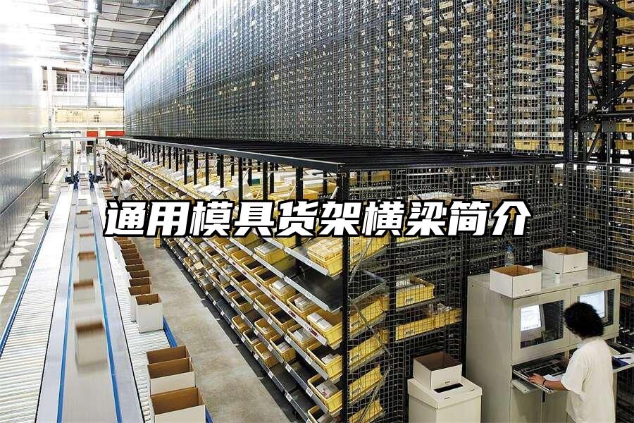 通用模具貨架橫梁簡介