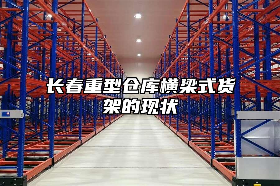 長春重型倉庫橫梁式貨架的現狀