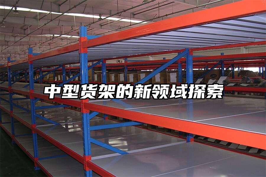 中型貨架的新領(lǐng)域探索