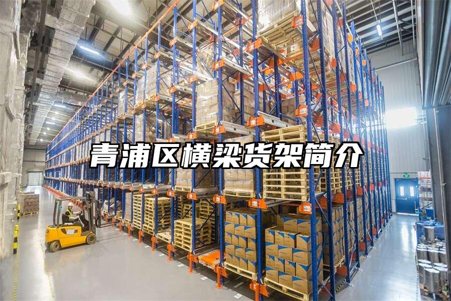青浦區(qū)橫梁貨架簡(jiǎn)介