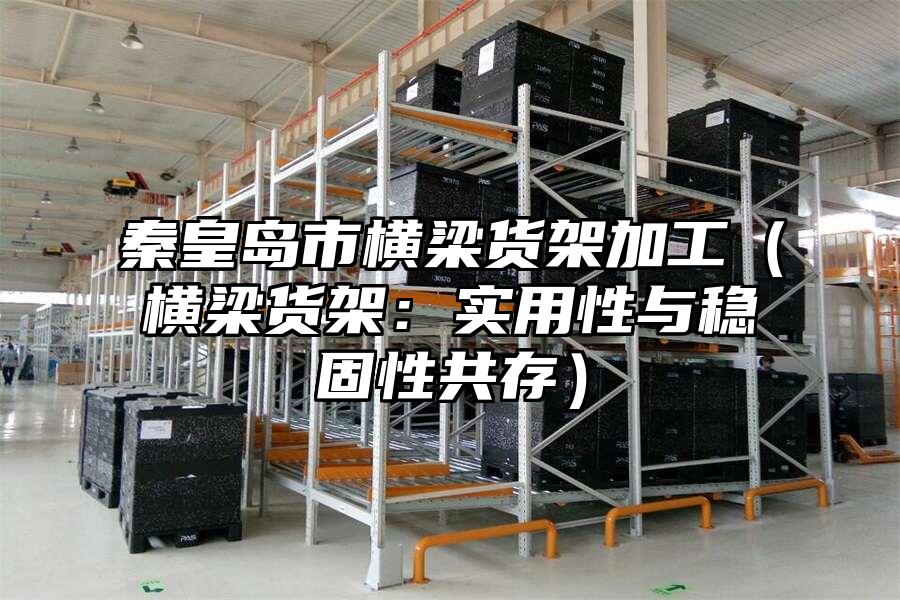 秦皇島市橫梁貨架加工（橫梁貨架：實用性與穩固性共存）