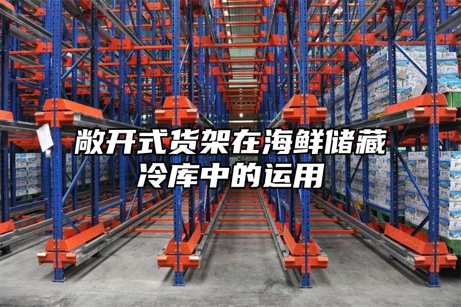 敞開式貨架在海鮮儲藏冷庫中的運用