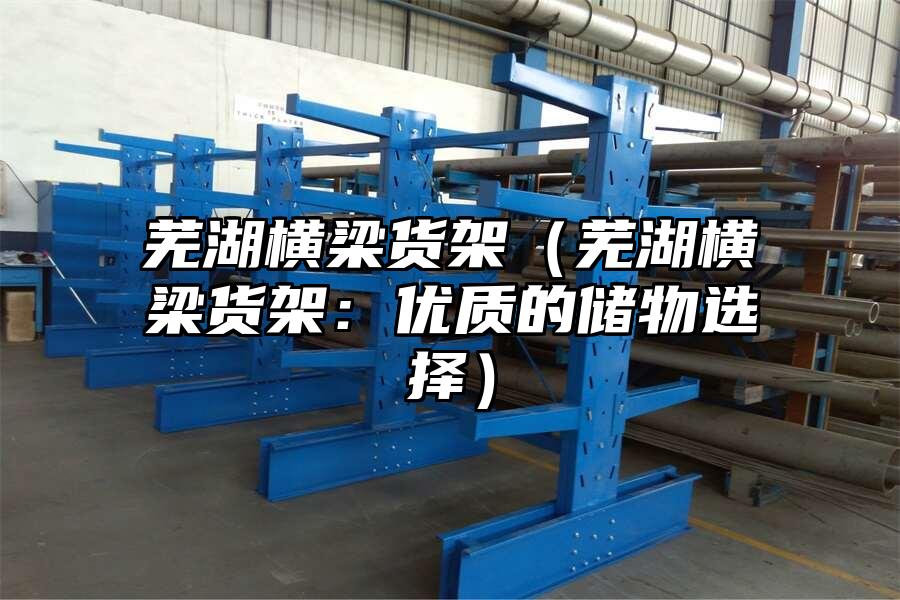 蕪湖橫梁貨架（蕪湖橫梁貨架：優(yōu)質(zhì)的儲(chǔ)物選擇）