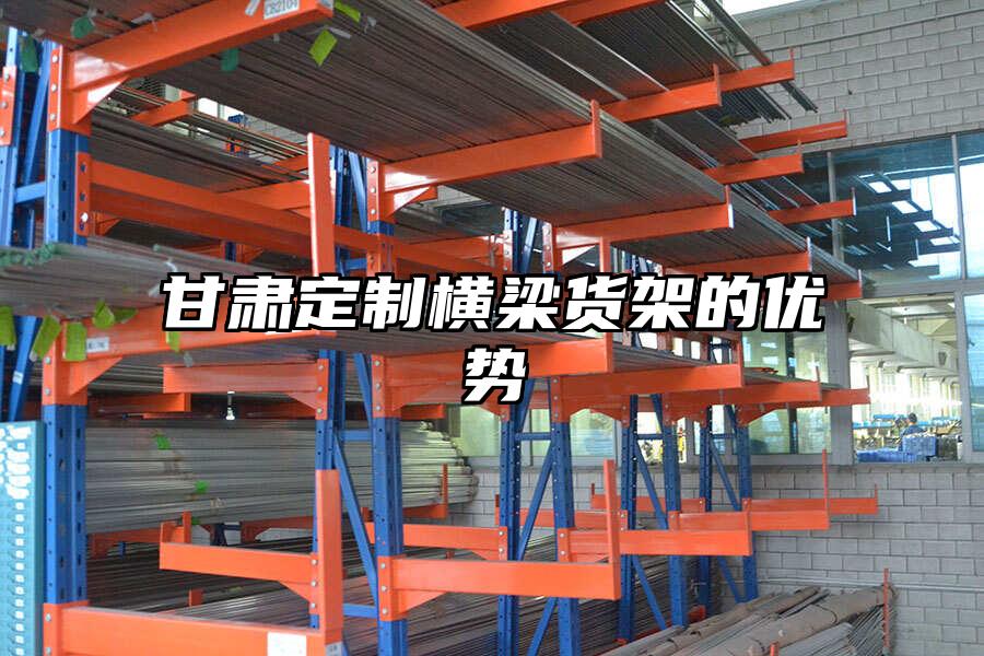 甘肅定制橫梁貨架的優勢